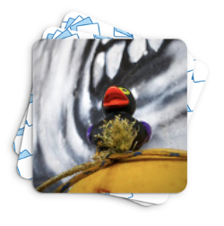 Duck Memory